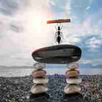 搜‍索​神​器‌哪‍个​好‌用​